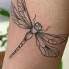 Monkeys Tattoo Shop