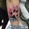 Nibiru Tattoo Estudio Artistikoa
