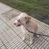 Era en reeducación en el paseo