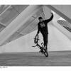 Entrenamiento Personal Y Rehadaptación Fisica