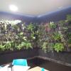 Jardines verticales