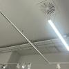 Almelectricidad