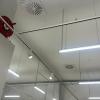 Almelectricidad