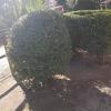 Toure Jardinero