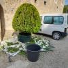 Toure Jardinero