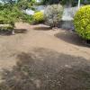 Toure Jardinero