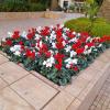 Toure Jardinero