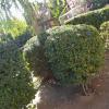 Toure Jardinero