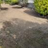 Toure Jardinero