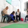 Conperros Educación Canina Amable