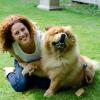 Orfeo, un amoroso chow chow. 