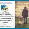 Lobazul Educación Y Adiestramiento Canino