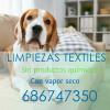 Limpiar el sofá con vapor seco. Eliminamos las manchas y malos olores de las tapicerías.