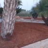 Jardineria Eva