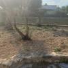 Jardineria Eva