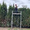 Jardineria Eva
