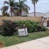 Jardineria Eva