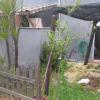 Jardineria Eva