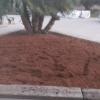 Jardineria Eva