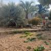 Jardineria Eva