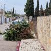 Jardineria Eva