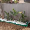 Jardineria Eva