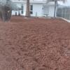 Jardineria Eva
