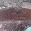 Jardineria Eva
