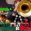 www.trompetasdemexico.com