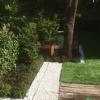 Jardin acabado