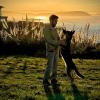 Adiestramiento Canino Darwin