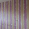 Pared recién lúcida para pintar 