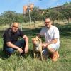 Trabajo de gestión de correa,refuerzo de vínculos,.......con Denver, un magnífico perro.(mix de pitbull adoptado)