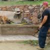  Pastor Belga Malinois(5 meses de edad), trabajo de exposición ante diferentes estímulos en calle.