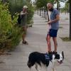 Tratando la reactividad de Ares frente a personas de Ares (border Collie) en Sabadell