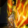Bailarina, Profesora y Coreógrafa