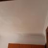 Pintura pos emplastre