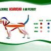 Alessandro  Nutrición Y Comportamiento Canino