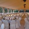 Alquiler de Carpas para Eventos