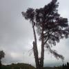 Jardinería Valparaíso