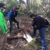 Curso de biología ,poda de árboles y palmeras 