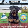 Educador Canino Montxo