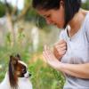 Enseñando al perro a que se mantenga quieto. En muchas ocasiones es importante