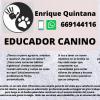 Enrique
