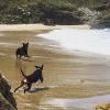 Días de playa - Feiki y Canela