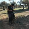 Taurocan Adiestramiento Canino