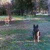 Taurocan Adiestramiento Canino