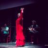 Clases De Baile Flamenco Y Sevillanas