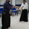 Jojutsu (artes de bastón)