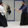 Kenjutsu (artes de sable)